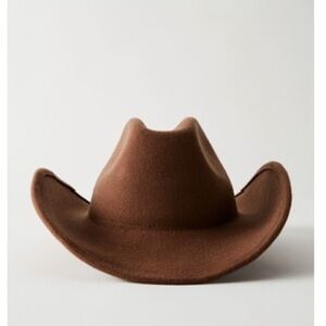 Aritzia cowboy hat